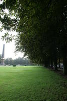 afternoon, Braunschweig, day, Deutschland, eye level view, grass, natural light, Niedersachsen, park, summer, tree, vegetation