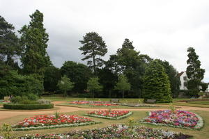 Abingdon, coniferous, day, England, eye level view, flower, flowering, garden, natural light, park, summer, The United Kingdom, tree, treeline