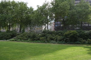 Belgium, Brussels, bush, day, eye level view, grass, natural light, park, summer, tree, vegetation