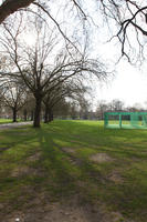 day, deciduous, England, eye level view, grass, London, park, spring, sunny, The United Kingdom, tree