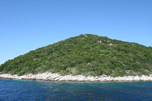 Croatia, Croatia, day, eye level view, hill, seascape, sunny, tree, vegetation