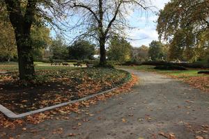 afternoon, autumn, Battersea park, bush, day, England, eye level view, leaf, London, park, path, The United Kingdom, tree