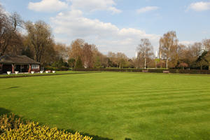 day, deciduous, England, eye level view, grass, London, park, spring, sunny, The United Kingdom, tree