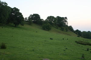 countryside, dusk, eye level view, field, grass, summer, The United Kingdom, tree, vegetation, Wales