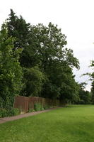 cloudy, day, diffuse, diffused light, England, eye level view, grass, park, St Albans, summer, The United Kingdom, treeline