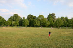 broad-leaf tree, broad-leaved tree, day, deciduous, England, eye level view, grass, group, London, park, people, spring, sunny, The United Kingdom, tree, treeline, walking