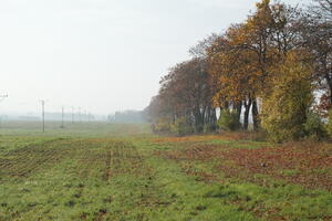 Poland, Wielkopolskie