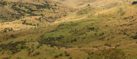 day, diffuse, diffused light, elevated, mountain, natural light, New Zealand, overcast, summer