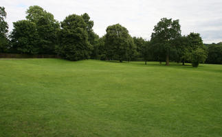 cloudy, day, diffuse, diffused light, England, eye level view, grass, park, St Albans, summer, The United Kingdom, treeline