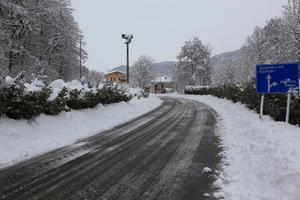 ambient light, bush, day, diffuse, diffused light, eye level view, Italia , morning, natural light, overcast, plant, road, sign, snow, tree, Veneto, winter