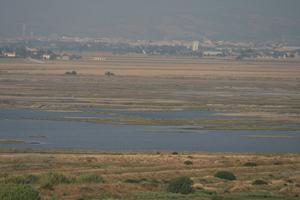 afternoon, day, direct sunlight, elevated, Grosseto, Italia , natural light, river, summer, Toscana, valley, vegetation