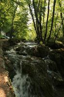 Croatia, day, eye level view, Karlovacka, sunny, tree, vegetation, waterfall