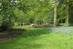 day, England, eye level view, grass, natural light, park, plant, The United Kingdom, Woking