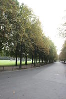 afternoon, Braunschweig, day, Deutschland, eye level view, natural light, Niedersachsen, park, path, summer, tree, vegetation