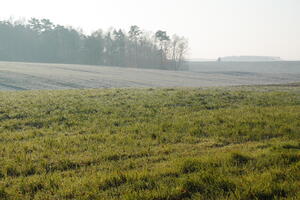 Poland, Wielkopolskie