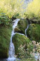 Croatia, day, eye level view, Karlovacka, sunny, tree, vegetation, waterfall