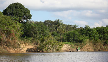 bright, Brunei, day, eye level view, forest, river, summer, sunny, tropical