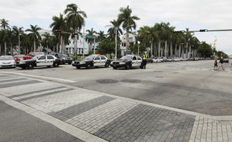 car, coconut palm, Cocos nucifera, crossing, day, diffuse, diffused light, eye level view, Florida, Miami, palm, pavement, police car, street, summer, The United States