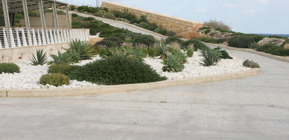 autumn, bush, day, diffuse, diffused light, eye level view, garden, kerb, Malta, natural light, pavement, shrub, succulent plant