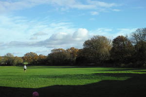 autumn, day, England, eye level view, grass, London, park, sunny, The United Kingdom, treeline