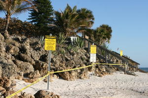 beach, day, eye level view, Florida, palm, Sarasota, seascape, shore, sign, steps, sunny, sunshine, The United States, tree, winter