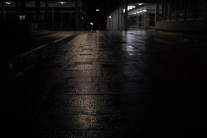 artificial lighting, city, Croatia, eye level view, night, pavement, pavement, paving, plaza, spring, wet, Zadar, Zadarska