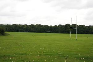 day, England, eye level view, field, grass, London, natural light, The United Kingdom, vegetation