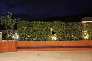 artificial lighting, bench, Bilbao, bush, eye level view, night, Pais Vasco, Spain, vegetation