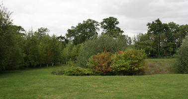 broad-leaf tree, broad-leaved tree, day, diffuse, diffused light, England, eye level view, grass, Lincoln, outdoors, overcast, park, summer, The United Kingdom, tree