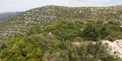 autumn, Croatia, day, elevated, mountain, shrubland, sunny