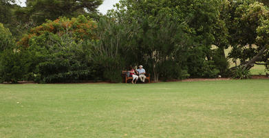 Australia, couple, day, eye level view, grass, natural light, New South Wales, sitting, summer, Sydney, tree, vegetation