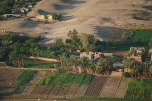 aerial view, dusk, East Timor, Egypt, Egypt, field, palm, tree, vegetation