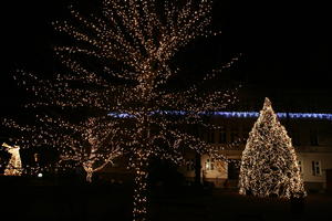 artificial lighting, eye level view, night, object, Poland, tree, tree lights, vegetation, Wielkopolskie, Wolsztyn