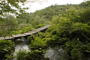 bridge, Croatia, day, diffuse, diffused light, eye level view, Karlovacka, natural light, plant, shrub, summer, woodland