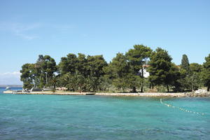 coastline, coniferous, Croatia, day, eye level view, palm, seascape, summer, sunny, tree, Ugljan, Zadarska