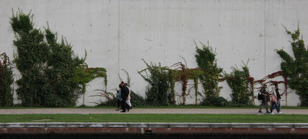 concrete, exposed concrete, green wall, greenery, ivy, orthogonal, promenade, retaining wall, texture, wall