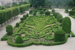 bush, Castres, day, elevated, France, garden, hedge, Midi-Pyrenees, natural light, park, summer, tree