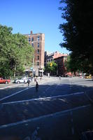 building, day, elevated, Manhattan, New York, street, sunny, The United States, tree, vegetation