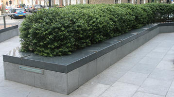 bench, bush, day, diffuse, diffused light, England, eye level view, London, natural light, shrub, spring, The United Kingdom