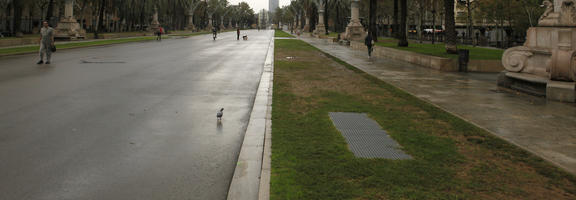 autumn, Barcelona, Cataluña, day, diffuse, diffused light, eye level view, grass, pavement, Spain, street, wet