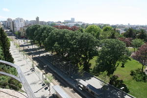 broad-leaf tree, broad-leaved tree, day, elevated, park, Porto, Porto, Portugal, spring, street, sunny, tramlines