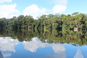 day, eye level view, Madre de Dios, Peru, river, shrub, summer, sunny, treeline, tropical