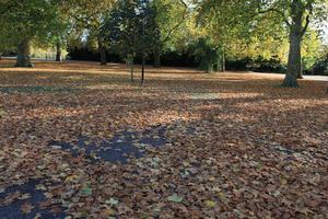 afternoon, autumn, Battersea park, day, England, eye level view, leaf, London, park, path, sunny, The United Kingdom, tree