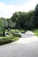 Belgium, Brussels, bush, day, eye level view, flower, natural light, park, path, summer, tree, vegetation