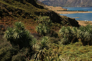 day, elevated, palm, summer, sunlight, sunny, sunshine, valley