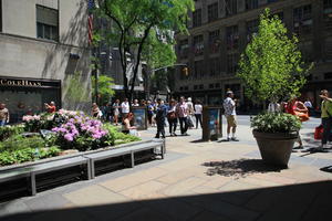 building, day, eye level view, Manhattan, New York, potted plant, street, sunny, The United States, tree, vegetation