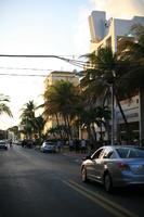 building, car, day, dusk, eye level view, Florida, group, Miami, palm, people, street, The United States, transport, tree, vegetation, winter