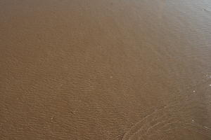 autumn, beach, close-up, day, direct sunlight, Essaouira, Morocco, natural light, sand, sunlight, sunny, sunshine, water