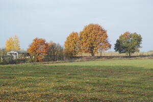 Poland, Wielkopolskie