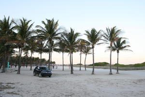 beach, car, dusk, eye level view, Florida, Miami, palm, The United States, transport, vegetation, winter